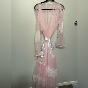D’Lish Sheer Pink Gown
